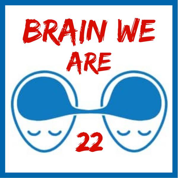 Brain We Are CZ
